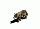 scfoxhunter04's Avatar